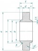 Anchor Flanges